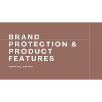 Vietnam's Legal Tools for Brand Protection & Product Features