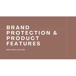 Vietnam's Legal Tools for Brand Protection & Product Features