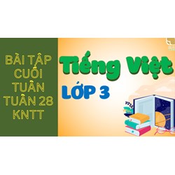 Bài tập cuối tuần Tiếng Việt lớp 3 Tuần 28 Kết nối tri thức có đáp án
