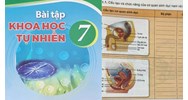 Đề thi giữa học kì 2 môn Khoa học tự nhiên 7 Cánh diều có đáp án