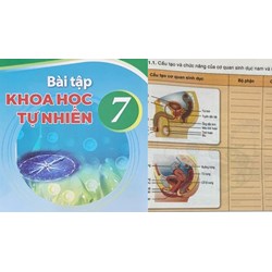 Đề thi giữa học kì 2 môn Khoa học tự nhiên 7 Cánh diều có đáp án