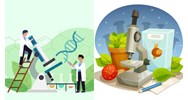 Bài tập Di truyền Menđen có lời giải chi tiết nhất Sinh học lớp 12