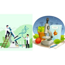 Bài tập Di truyền Menđen có lời giải chi tiết nhất Sinh học lớp 12