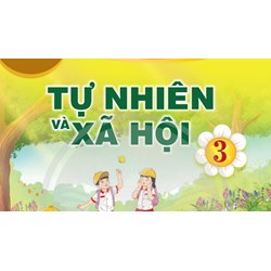 Đề thi học kì 2 lớp 3 môn Tự nhiên và xã hội có đáp án mới nhất