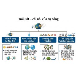 Sơ đồ tóm tắt nội dung văn bản Trái Đất cái nôi của sự sống