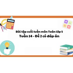 Bài tập cuối tuần môn Toán lớp 5 Tuần 14 - Đề 2 có đáp án