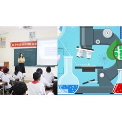 11 câu phân tích kế hoạch bài dạy môn Sinh học THCS mới nhất