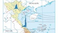Ở miền Bắc, đai nhiệt đới gió mùa có độ cao trung bình dưới (m)?