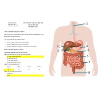 Đề thi giữa kì 2 Khoa học tự nhiên 8 Kết nối tri thức có đáp án