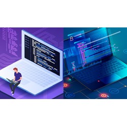 Trong bài toán giải phương trình ax+b=0 có các biến là?