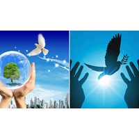 50 câu trắc nghiệm Đấu tranh cho một thế giới hòa bình có đáp án