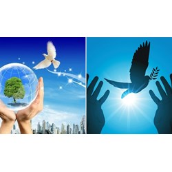 50 câu trắc nghiệm Đấu tranh cho một thế giới hòa bình có đáp án