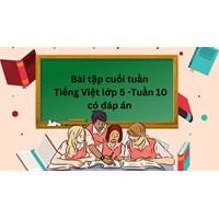 Bài tập cuối tuần Tiếng Việt lớp 5 Tuần 10 có đáp án chi tiết nhất