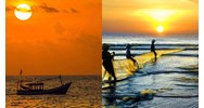Dàn ý vẻ đẹp người lao động trong Đoàn thuyền đánh cá hay nhất