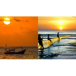 Dàn ý vẻ đẹp người lao động trong Đoàn thuyền đánh cá hay nhất
