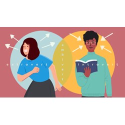 Omnivert vs Ambivert: Bạn Thuộc Kiểu Người Nào?