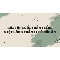 Bài tập cuối tuần Tiếng Việt lớp 3 Tuần 11 có đáp án