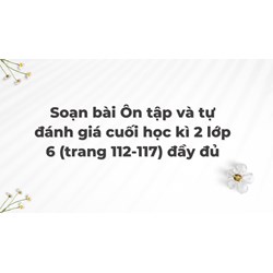 Soạn bài Ôn tập và tự đánh giá cuối học kì 2 lớp 6 (trang 112-117) đầy đủ