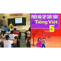 Bài tập cuối tuần Tiếng Việt lớp 5 Tuần 25 có đáp án mới nhất