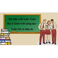 Bài tập cuối tuần Toán lớp 3 Chân trời sáng tạo - Tuần 30 có đáp án