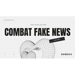 Combating Fake News on Vietnamese Social Media Platforms