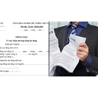 Mẫu Thông báo Chấm dứt Hợp đồng Lao động Mới Nhất 2024 - Tải Miễn Phí