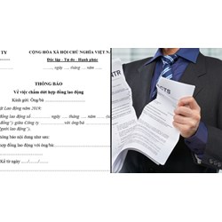 Mẫu Thông báo Chấm dứt Hợp đồng Lao động Mới Nhất 2024 - Tải Miễn Phí