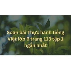 Soạn bài Thực hành tiếng Việt lớp 6 trang 113 tập 1 ngắn nhất