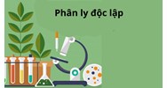 Điều kiện nghiệm đúng đặc trưng của quy luật phân li độc lập là?