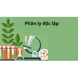 Điều kiện nghiệm đúng đặc trưng của quy luật phân li độc lập là?