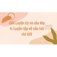 Giải Luyện từ và câu lớp 4: Luyện tập về câu hỏi chi tiết