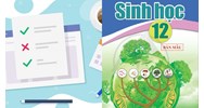 Cách giải bài tập xác suất trong di truyền người đơn giản nhất