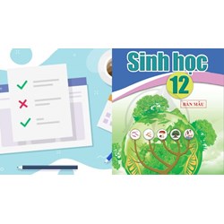 Cách giải bài tập xác suất trong di truyền người đơn giản nhất