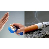 Soạn văn 8 VNEN Bài 12: Ôn dịch, thuốc lá ngắn gọn, mới nhất