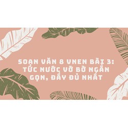 Soạn văn 8 VNEN Bài 3: Tức nước vỡ bờ ngắn gọn, đầy đủ nhất