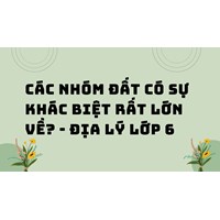 Các nhóm đất có sự khác biệt rất lớn về? - Địa lý lớp 6