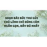 Soạn bài Bức thư gửi chú lính chì dũng cảm ngắn gọn, đầy đủ nhất