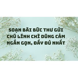 Soạn bài Bức thư gửi chú lính chì dũng cảm ngắn gọn, đầy đủ nhất