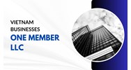 Start Your Vietnam Business Solo: One-Member LLC Explained