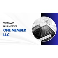 Start Your Vietnam Business Solo: One-Member LLC Explained