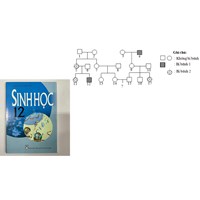 Định luật phân ly độc lập góp phần giải thích hiện tượng?
