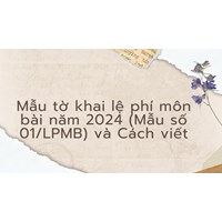 Mẫu tờ khai lệ phí môn bài năm 2024 (Mẫu số 01/LPMB) và Cách viết