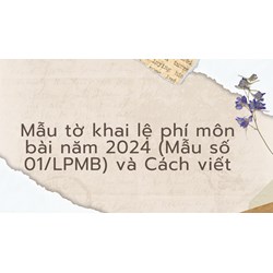 Mẫu tờ khai lệ phí môn bài năm 2024 (Mẫu số 01/LPMB) và Cách viết