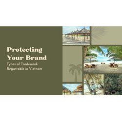 Types of Trademarks Registrable in Vietnam: Protecting Your Brand
