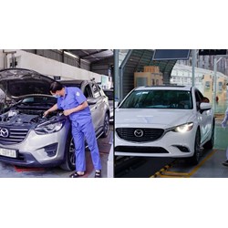 Danh sách xe ô tô tự động gia hạn đăng kiểm mới nhất 2024
