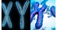 Bài tập NST và đột biến NST có lời giải chi tiết nhất