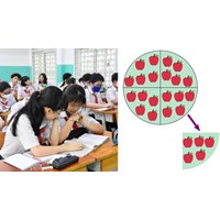 Bài tập Phép nhân và phép chia phân số Toán lớp 6 có đáp án