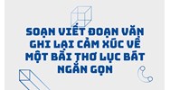 Soạn Viết đoạn văn ghi lại cảm xúc về một bài thơ lục bát ngắn gọn