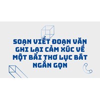 Soạn Viết đoạn văn ghi lại cảm xúc về một bài thơ lục bát ngắn gọn