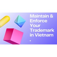 Maintaining and Enforcing Your Trademark Registration in Vietnam